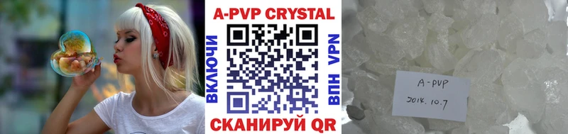 Альфа ПВП СК КРИС  закладка  Устюжна 