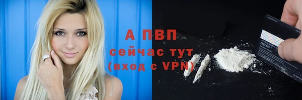 a pvp Абаза