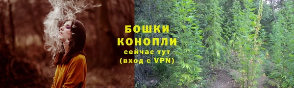 ПСИЛОЦИБИНОВЫЕ ГРИБЫ Абинск