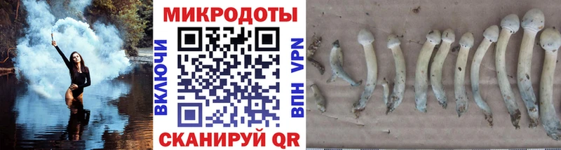 Псилоцибиновые грибы мухоморы  Устюжна 