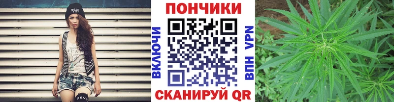 Бошки марихуана THC 21%  Устюжна 